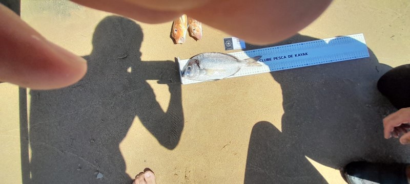Fish Measure Picture